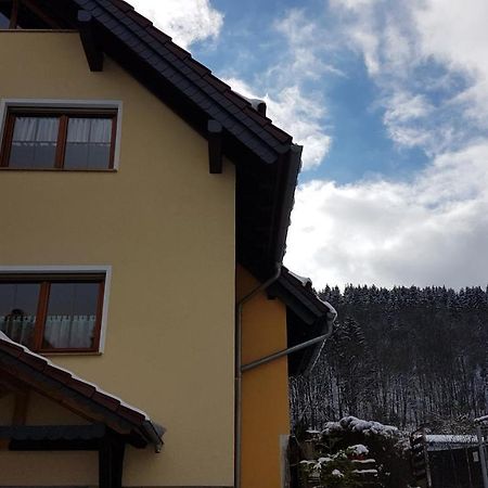 kleine Ferienwohnung Schortestraße Ilmenau Exterior foto